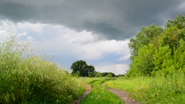 Landschap van het platteland met weg voor de storm. Rusland — Stockvideo