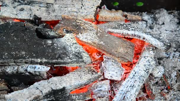 Yakıcı ve yakacak odun smoldering — Stok video
