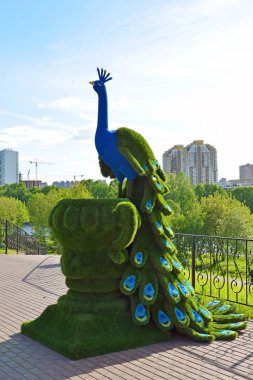 Khimki, Rusya Federasyonu - 30.2017 olabilir. Tavuskuşu Park Eko shore heykeli