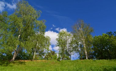 Eko bölge Sahil Parkı, Rusya'nın '