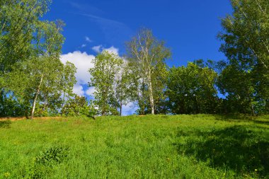 Eko bölge Sahil Parkı, Rusya'nın '