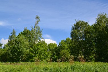 Kamu Eko Sahil Parkı, Rusya'nın '