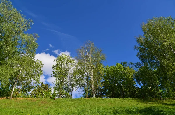 Eko bölge Sahil Parkı, Rusya'nın '