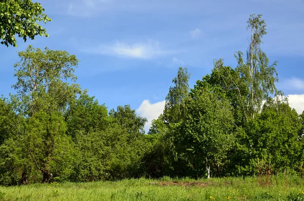 Kamu Eko Sahil Parkı, Rusya'nın '