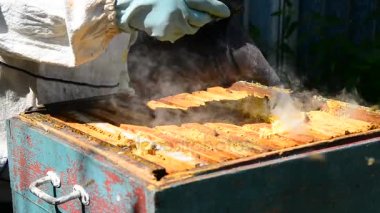 Arıcı arılar - sürücüler uzak arılar duman duman