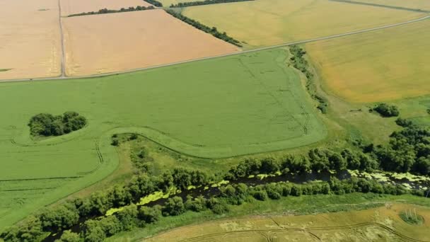 Vista aérea del paisaje rural con campos y carretera — Vídeos de Stock