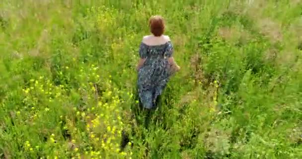 Mujer caminando en el prado de verano, vista superior — Vídeo de stock