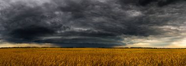 Rusya fieldin bir buğday üzerinde yuvarlak fırtına bulutu. Panorama