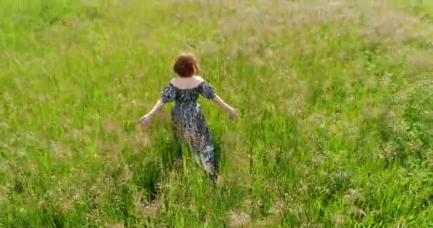 Mujer caminando en el prado de verano, vista superior — Vídeo de stock