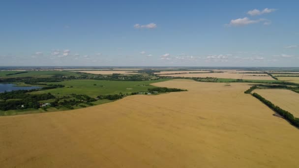 Voo sobre campos agrícolas na Rússia — Vídeo de Stock