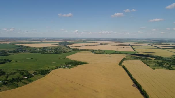 Vuelo sobre campos agrícolas en Rusia — Vídeo de stock