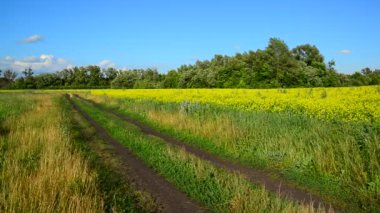 Yaz aylarında rüzgarlı hava kırsal manzara