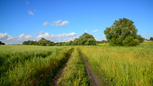 Paesaggio di campagna con strada di campagna — Video Stock