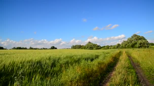 Paisagem rural com estrada rural — Vídeo de Stock