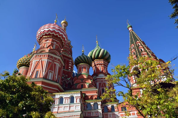 Moskova, Rusya'nın St. Basils katedral kubbe. Alt görünümü