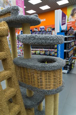 Zelenograd, Rusya Federasyonu - 15 Eylül. 2017. tırmalamak evde beslenen hayvan mesajları saklamak alışveriş merkezi Panfilov dört paws