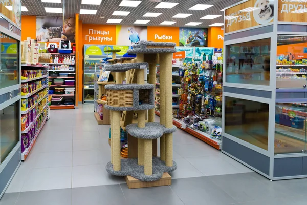 Zelenograd, Rusya Federasyonu - 15 Eylül. 2017. tırmalamak evde beslenen hayvan mesajları saklamak alışveriş merkezi Panfilov dört paws
