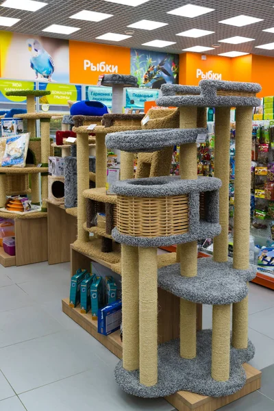 Zelenograd, Rusya Federasyonu - 15 Eylül. 2017. tırmalamak evde beslenen hayvan mesajları saklamak alışveriş merkezi Panfilov dört paws