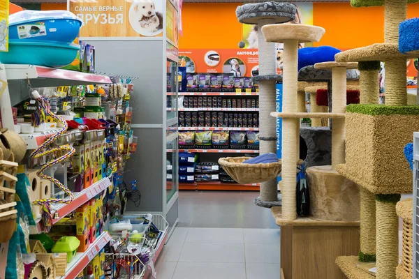 Zelenograd, Rusya Federasyonu - 15 Eylül. 2017. evde beslenen hayvan stok dört paws alışveriş merkezi Panfilov iç