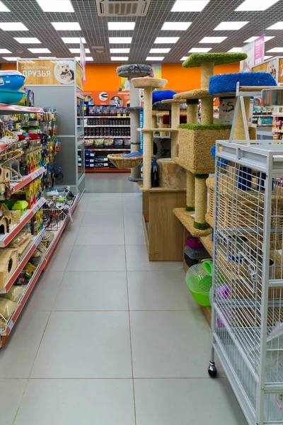 Zelenograd, Rusya Federasyonu - 15 Eylül. 2017. dört paws - Mall'da Panfilov evde beslenen hayvan stok