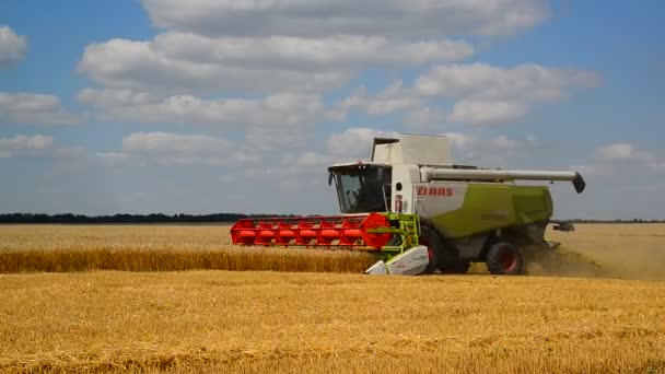 リペツク, ロシア連邦 - 8 月 2 日。2017。 Claas Lexion 収穫は、穀物畑 — ストック動画