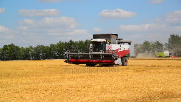 リペツク, ロシア連邦 - 8 月 2 日。2017 Claas の穀物畑に収穫作品。 — ストック動画