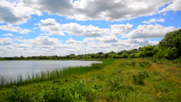 Zomer landschap met meer in Centraal-Rusland — Stockvideo