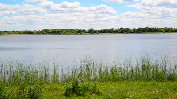 Paisaje de verano con lago en Rusia central — Vídeo de stock