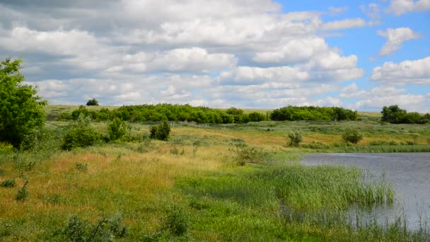 Summer landscape with lake in central Russia — Stock Video