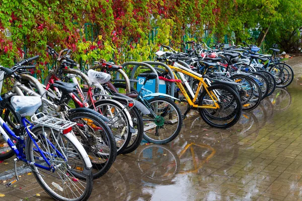 Zelenograd, Rusya Federasyonu - 15 Eylül. 2017. Bisiklet Kryukovo istasyonunda sonbaharda bir su birikintisine otopark.