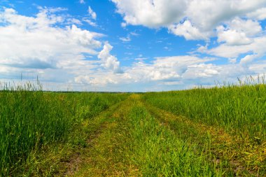 Ülke road Rusya yeşil çim arasında