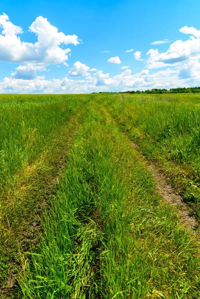 Country road among green grass in Russia — Stock Photo, Image