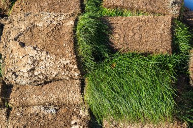 Rulo çim yığınları açık havada katlanmış