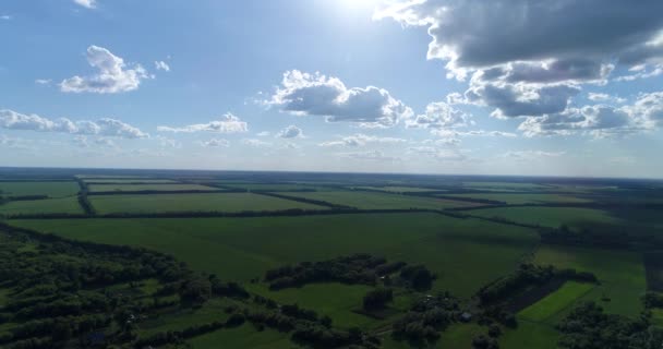 Oiseaux vue sur la campagne Russie centrale 