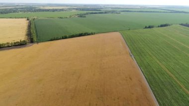 Yeşil ve sarı tarım alanları Rusya üzerinden uçuş