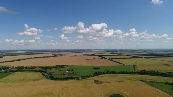 Drohnenflug auf grünen und gelben landwirtschaftlichen Feldern in Russland — Stockvideo
