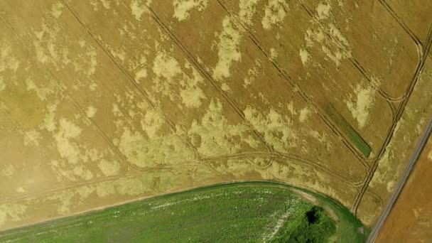 Полет над зелеными и желтыми сельскохозяйственными полями России — стоковое видео