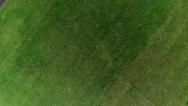 俄罗斯的绿色和黑色农业领域的飞行 — 图库视频影像