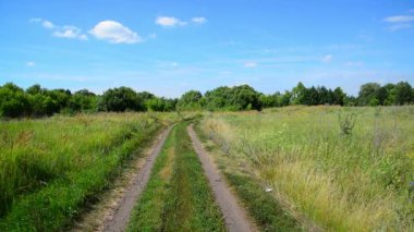 Toprak yol Rusya ile kırsal manzara