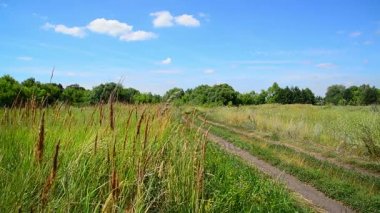 Toprak yol Rusya ile kırsal manzara