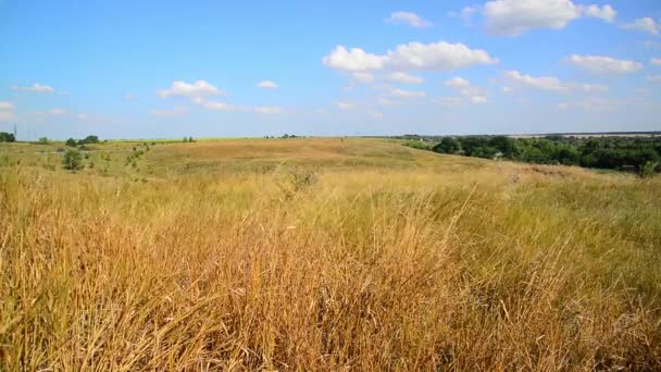 Paisaje estepa En la parte central de Rusia — Vídeos de Stock