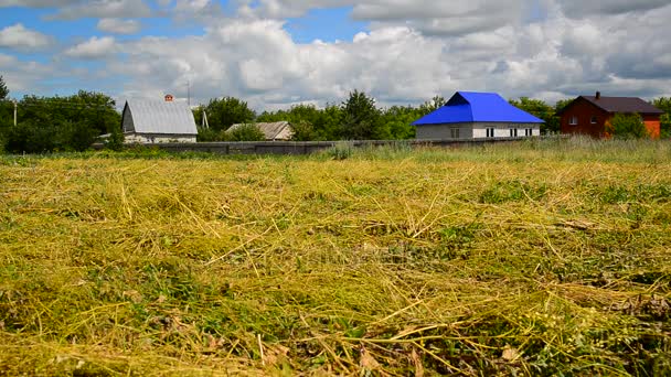 俄罗斯农村房屋前面的稻草场 — 图库视频影像