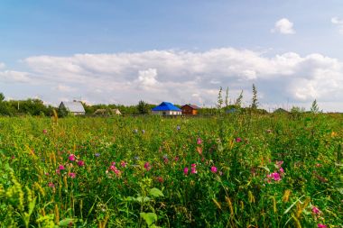 Kır çiçekleri ile kırsal manzara ön planda.