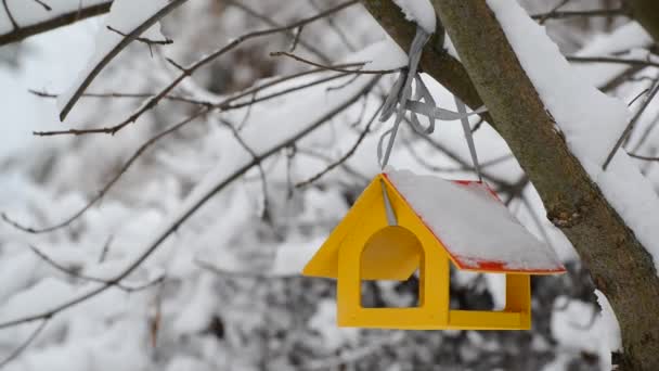 Gelber hölzerner Vogelfutterautomat hängt im Winter am Baum. — Stockvideo