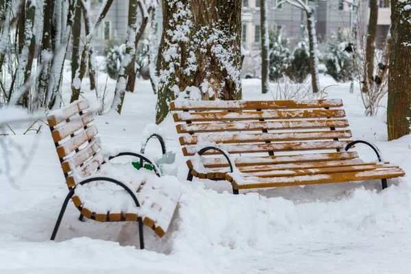 Deux bancs dans le parc après une chute de neige en hiver . — Photo