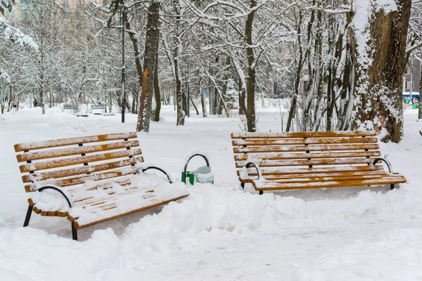 Dois bancos no parque depois de uma queda de neve no inverno . — Fotografia de Stock