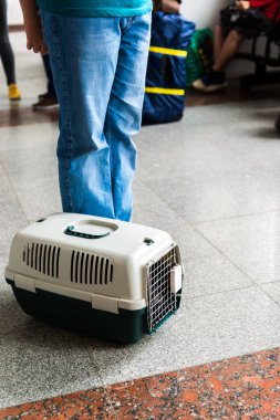 Evcil hayvan taşıma için çantam genç ayakları