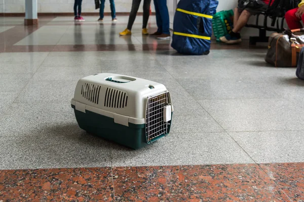 Sac en plastique pour transporter des animaux de compagnie est dans le hall de la station — Photo