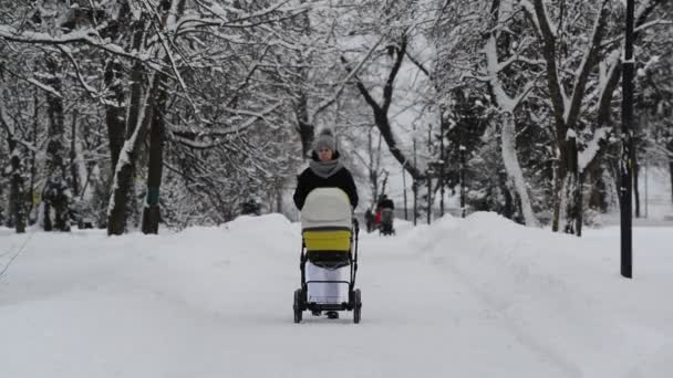 Μόσχα, Ρωσία - 31 Ιανουαρίου. 2018. η γυναίκα με καροτσάκι μωρού περίπατο στο πάρκο χειμώνα — Αρχείο Βίντεο