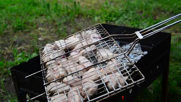 Барбекю из свинины, приготовленной на гриле — стоковое видео